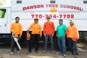 Dawson Tree Removal