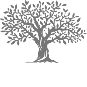 Dawson Tree Removal - Dawsonville, GA and North Georgia
