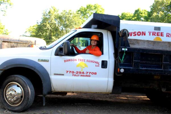Dawson-tree-removal-driving-truck